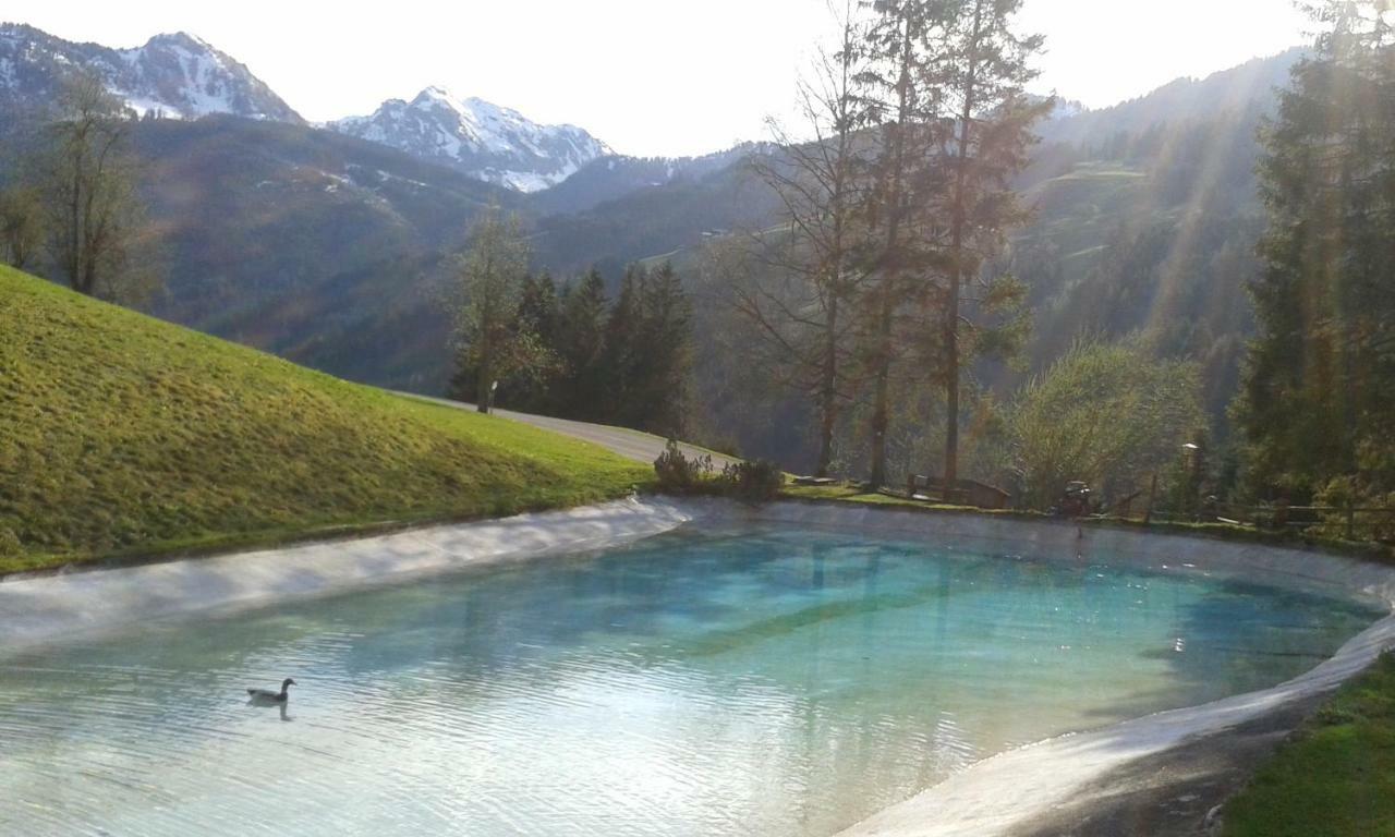 Pension Chalet Bergseegut 바그라인 외부 사진