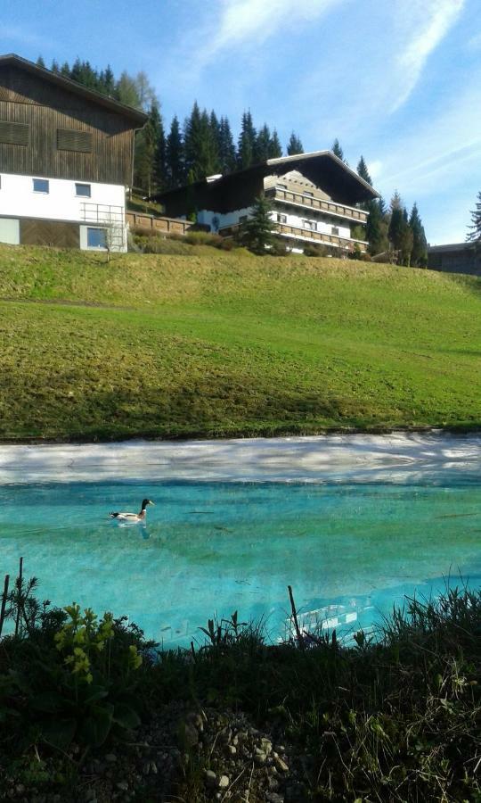Pension Chalet Bergseegut 바그라인 외부 사진