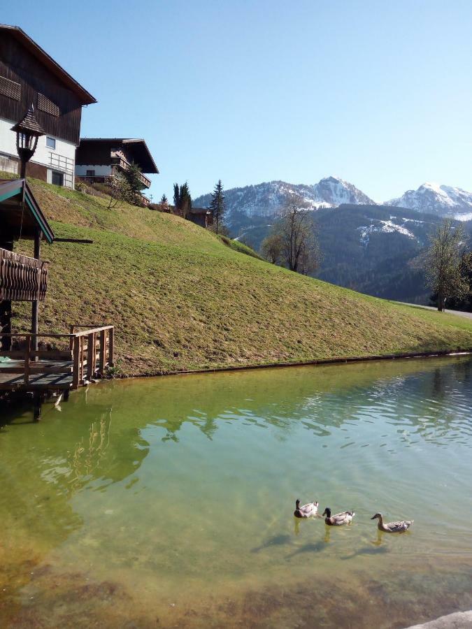 Pension Chalet Bergseegut 바그라인 외부 사진